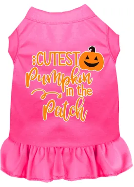 Cutest Pumpkin In The Patch Screen Print Dog Dress Bright Pink Xxxl